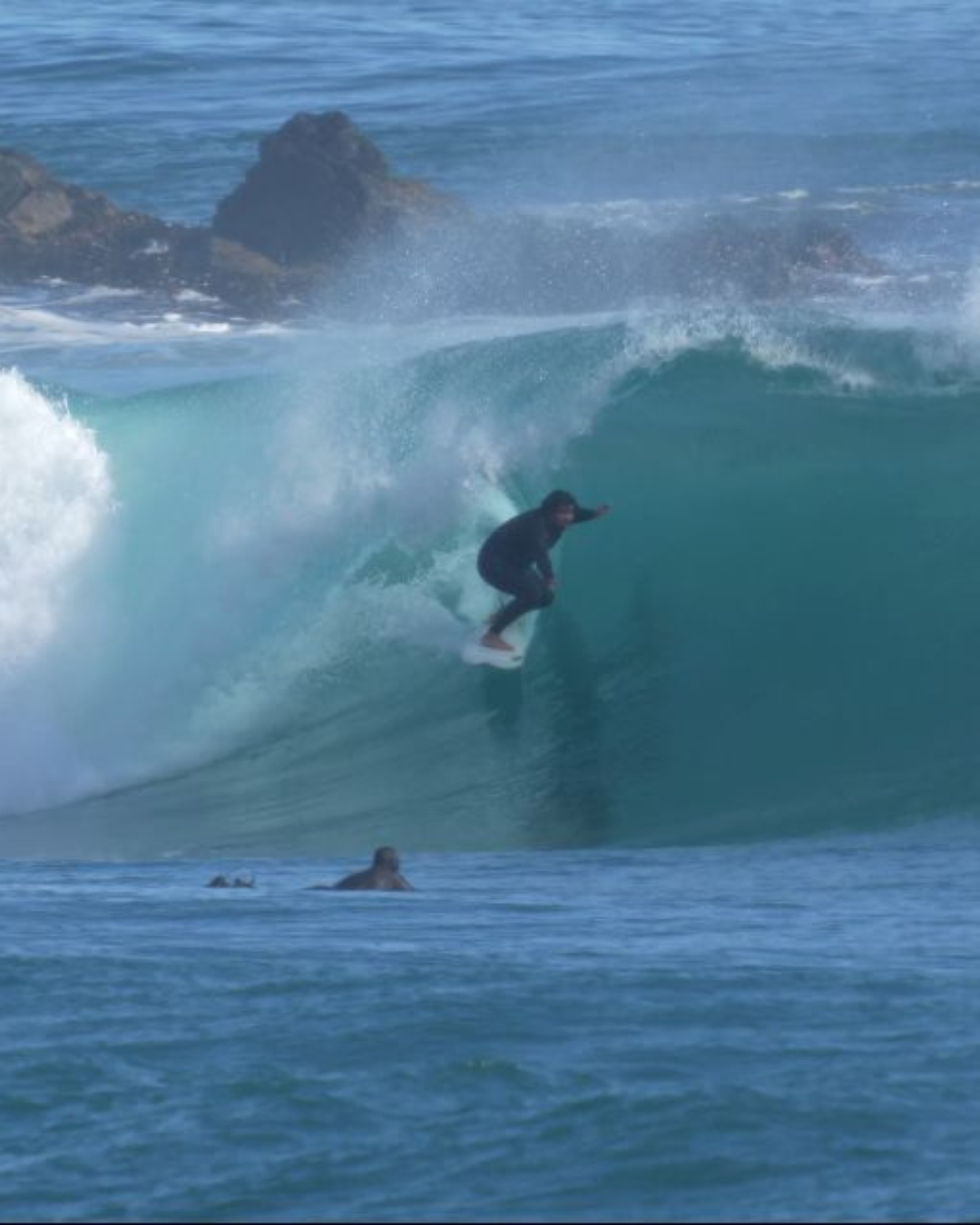 Tabla de Surf Guru DCD